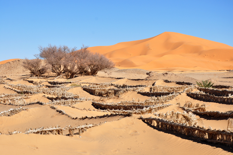 The path into the desert.