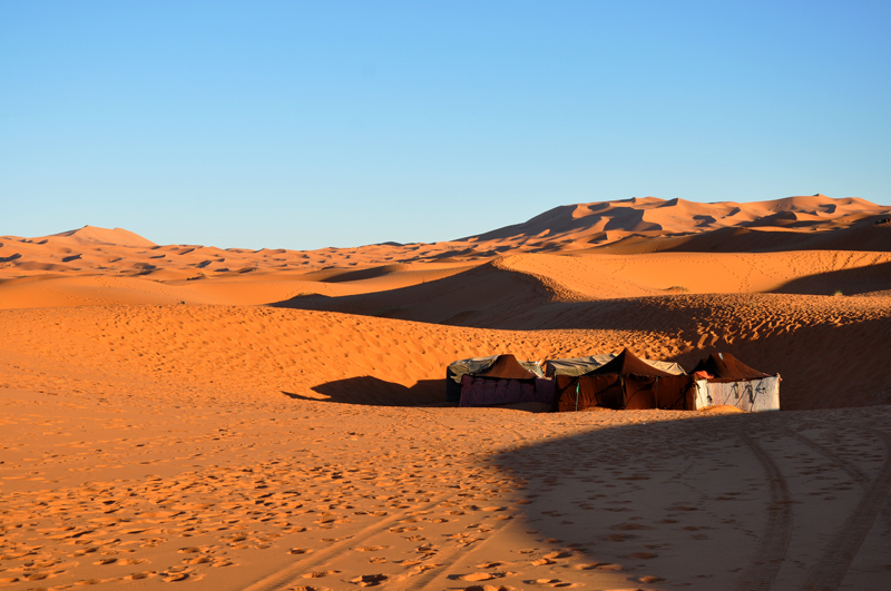 Home in the desert: The Road Junky camel-haired canopy.