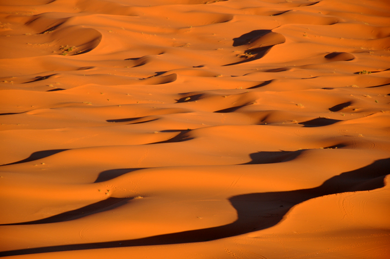 Late afternoon in the desert...Shadows in the Dunes...