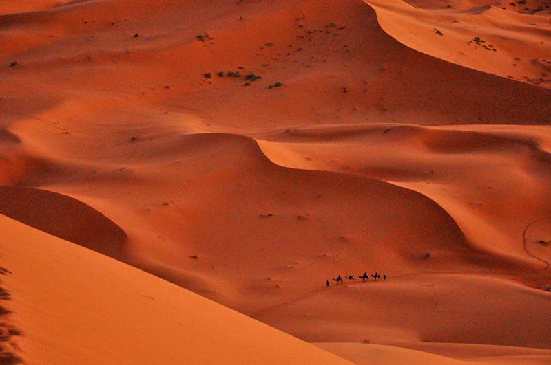 Nomad dreams in the desert...