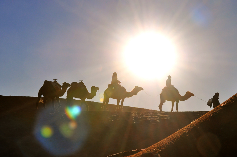 Riding camels through the dunes in the late afternoon.
