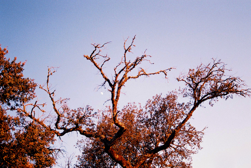 The moon rising in the late afternoon.