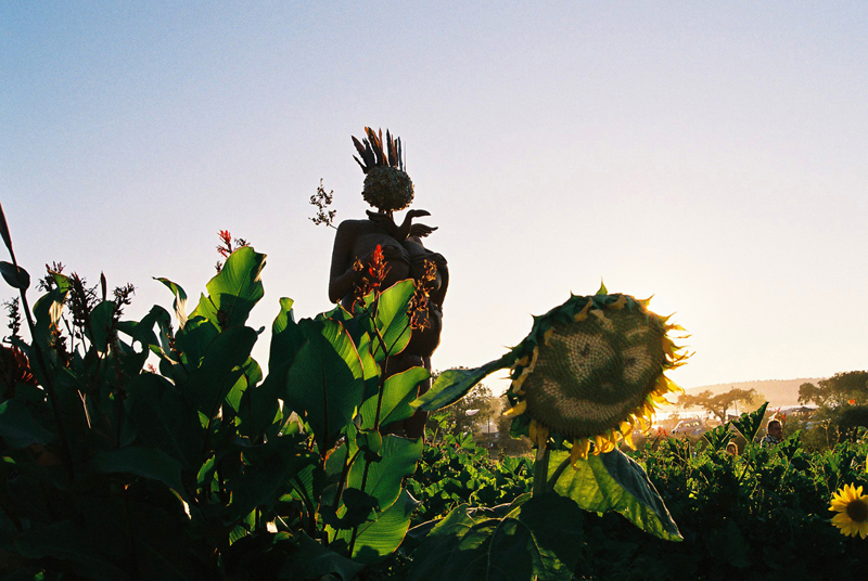 A sunflower smiles at sunset at the Gaia Plaza next to a sculpture embodying Mother Earth.