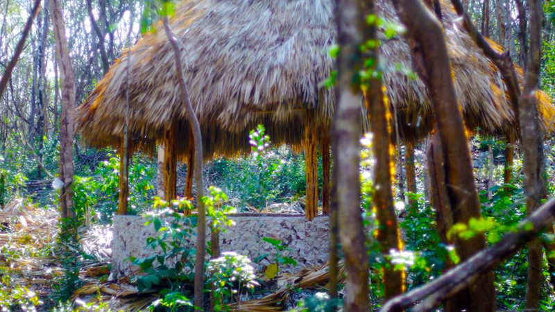 Arriving in to Lemurian Land in the Mayan jungle of Yucatan