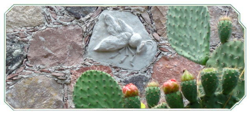 Sara Mapelli casts her love of bees into the walls of her new project, THE GOLDEN BEE RETREAT, currently under construction in Guanajuato, Mexico.