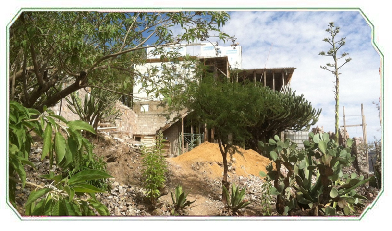 A view on The Golden Bee Retreat under construction in Guanajuato, Mexico. The Golden Bee Retreat is a collaborative project by Sara Mapelli and Theodore Holdt along with Architect David Chavez Chavez.