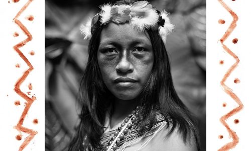 AMAZON GUARDIANS OF LIFE Fighting Against Big Oil