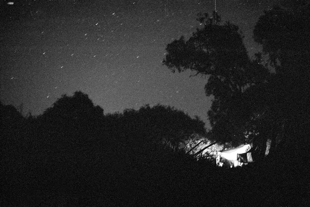 Our camp under the willows and the moving stars, Hungary.