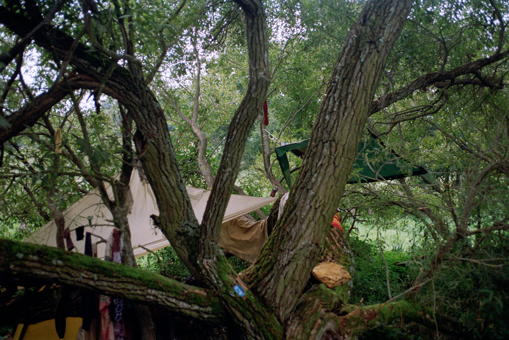 Tarps of our camp under the willow trees, Hungary.