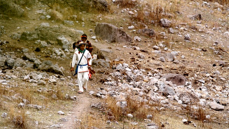 On the road of the pilgrimage to Wirikuta, San Luis Potosí, Mexico.