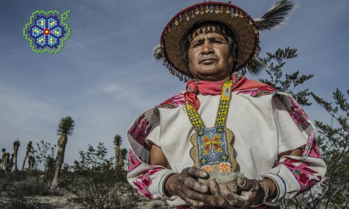 SAVING MAGIC IN MEXICO With The Last Peyote Guardians