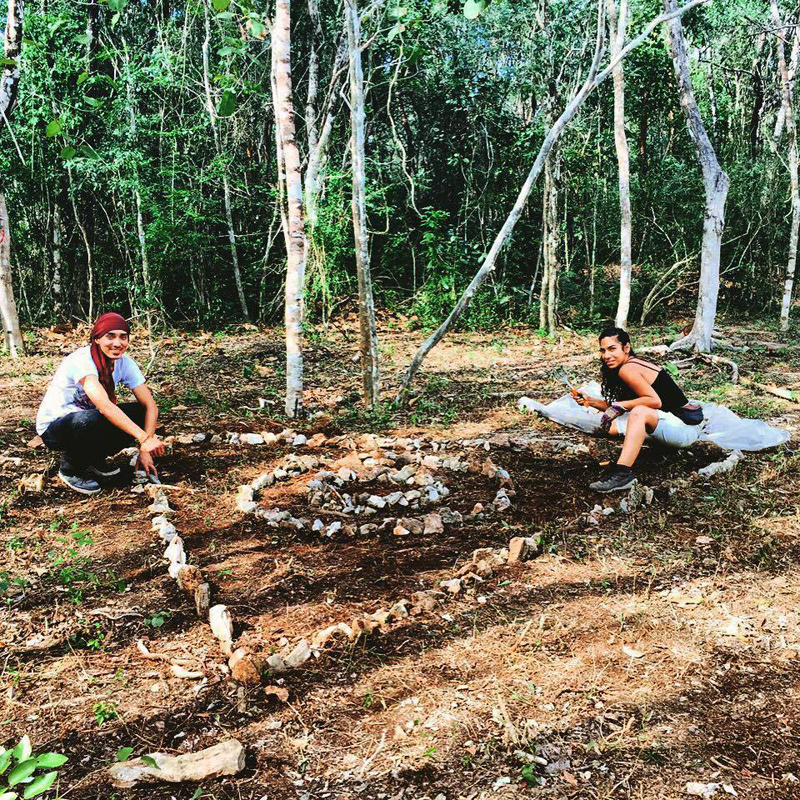 Permaculture garden in progress. 