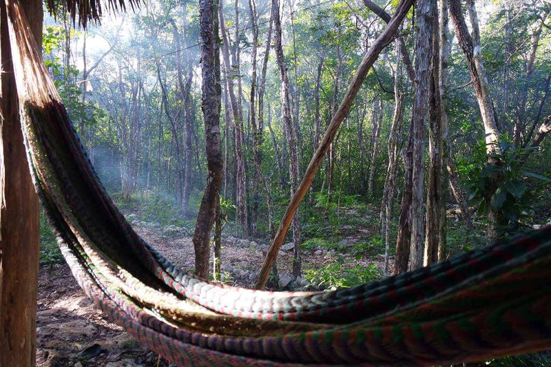 The view on the jungle from a hammock at the Lemurian Embassy.