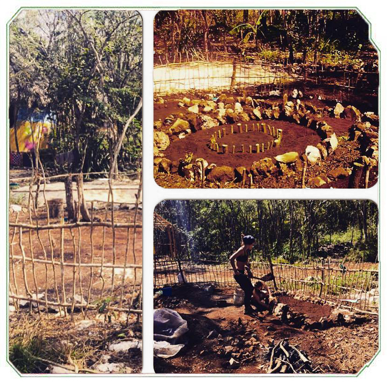 Finishing the new permaculture garden. 