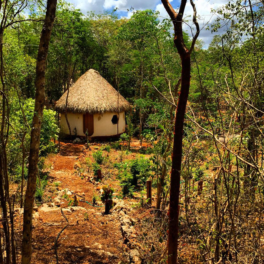 View of Lemurian Embassy Palapa, currently a temporary meditation hall .