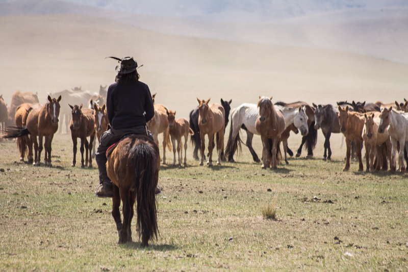 The Third Eye Magazine_Mongolia Horse Caravan_2015_09